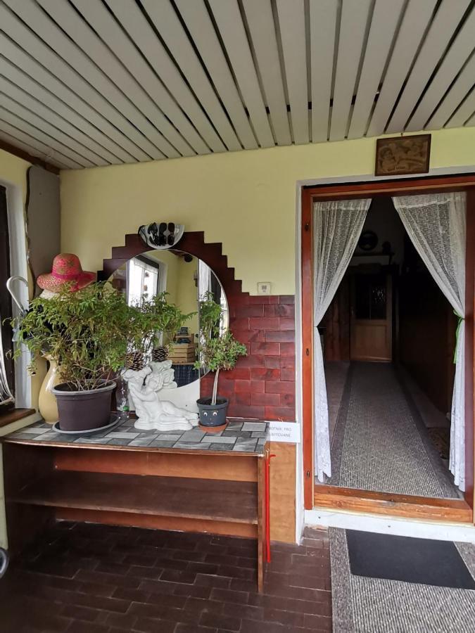Apartman Ve Mlejne Nová Bystřice Eksteriør billede