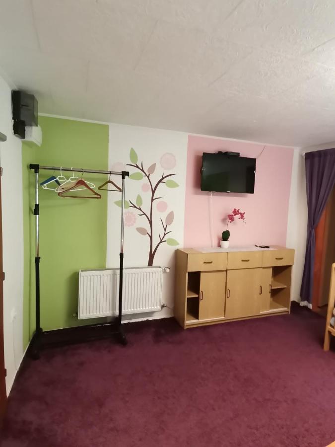 Apartman Ve Mlejne Nová Bystřice Eksteriør billede