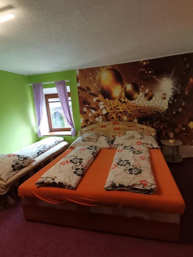 Apartman Ve Mlejne Nová Bystřice Eksteriør billede