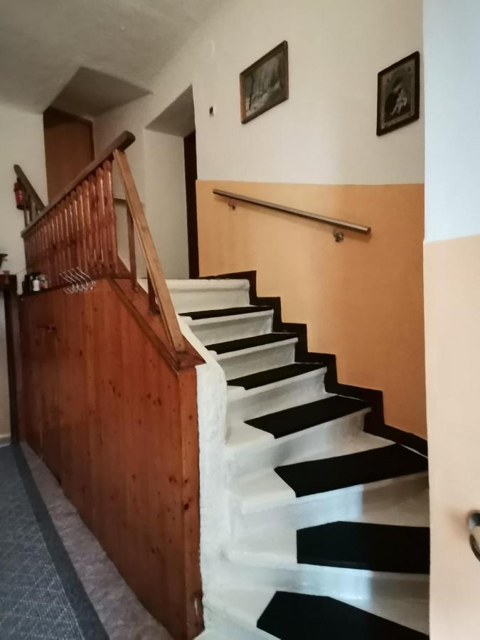 Apartman Ve Mlejne Nová Bystřice Eksteriør billede