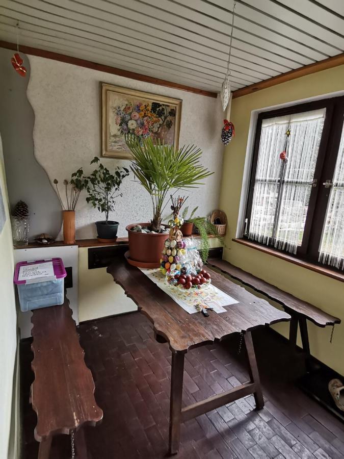 Apartman Ve Mlejne Nová Bystřice Eksteriør billede