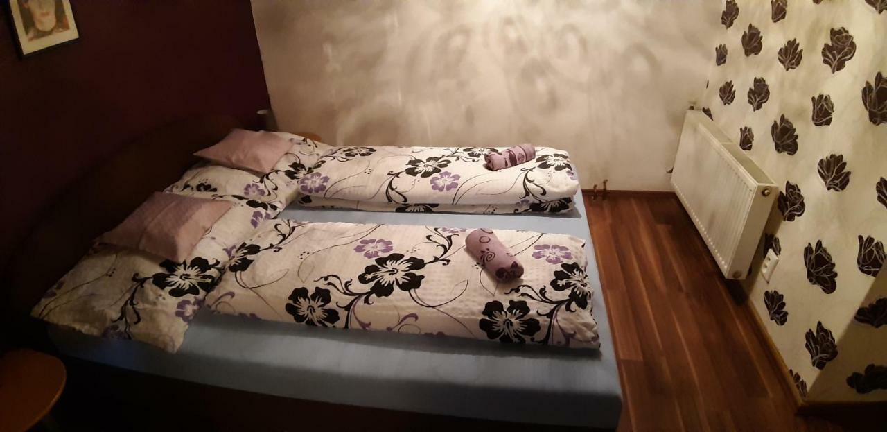 Apartman Ve Mlejne Nová Bystřice Eksteriør billede